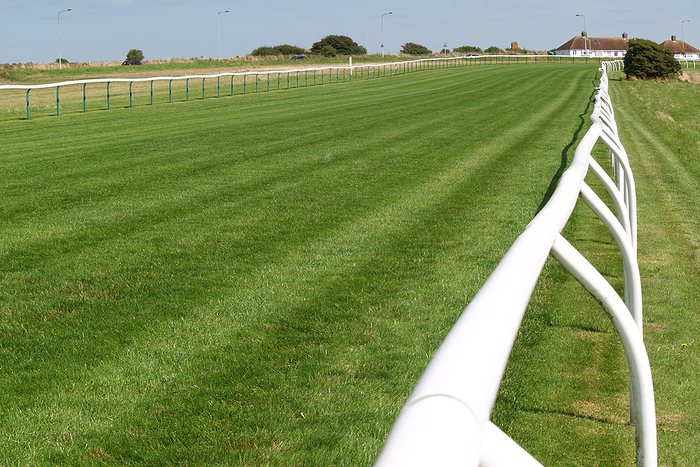 Empty Turf Horse Race Track