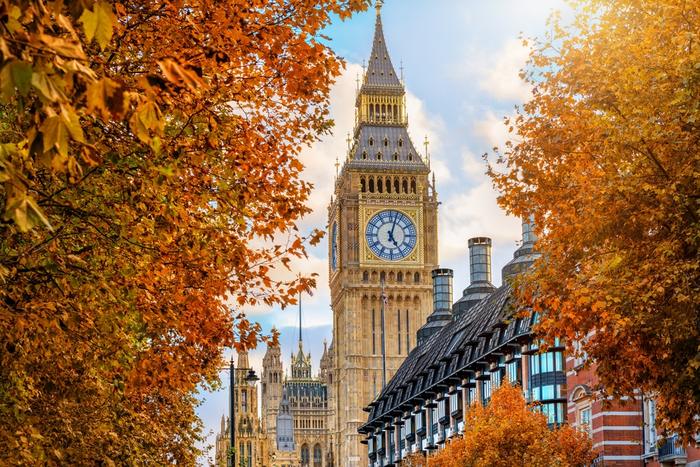 Big Ben Clock Tower with Autumn Leaves