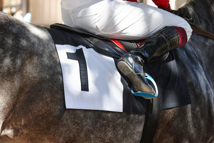 Jockey Sitting on Horse Number 1