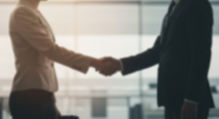 Blurred Business Handshake