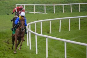 Two Horses Running Bend in Turf Race
